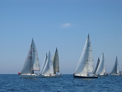 la solitaire 130